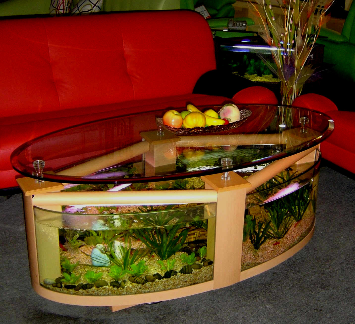 WARRANTY INCLUDED! 55 gallon GLASS round circle table aquarium fish tank setup- MAPLE